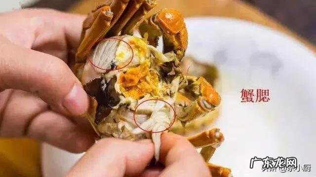 螃蟹的哪些部位不能吃?