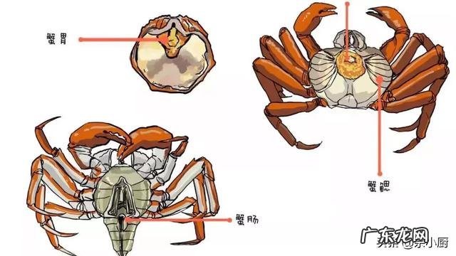 螃蟹的哪些部位不能吃?
