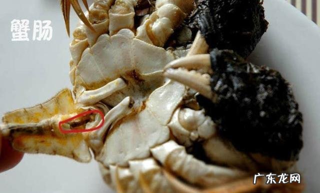 螃蟹的哪些部位不能吃?