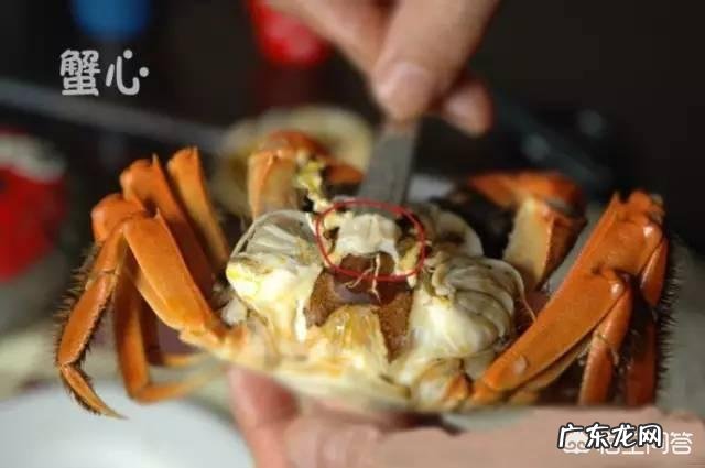 螃蟹的哪些部位不能吃?