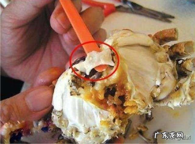 螃蟹的哪些部位不能吃?