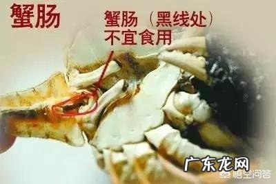 螃蟹的哪些部位不能吃？