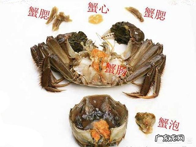 螃蟹的哪些部位不能吃？