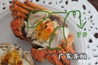 螃蟹的哪些部位不能吃?