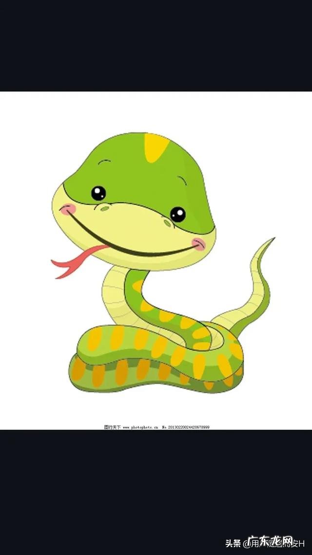 有什么关于蛇的故事吗?