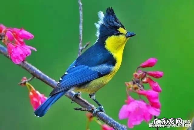 女生若真心喜欢一个男生,会有什么表现?