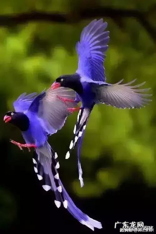 女生若真心喜欢一个男生,会有什么表现?