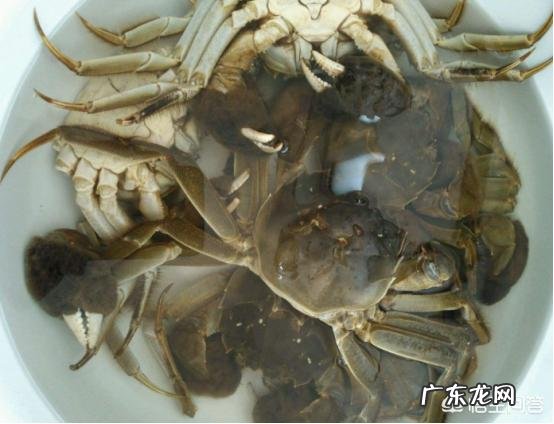 螃蟹怎么清洗?