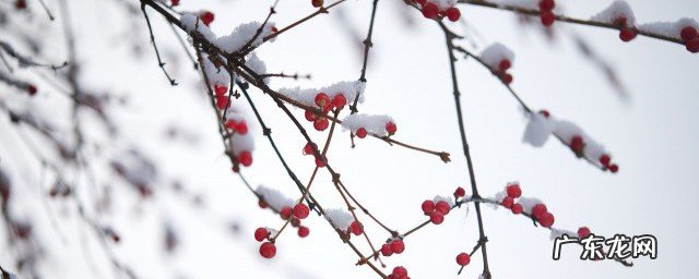 2020年表达小雪快乐的祝福语