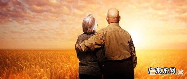 你是如何理解“树欲静而风不止,子欲养而亲不待”?