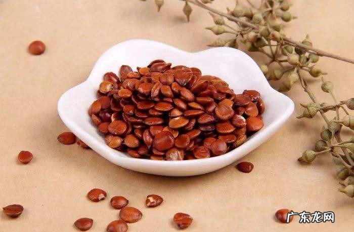 酸枣仁能吃吗