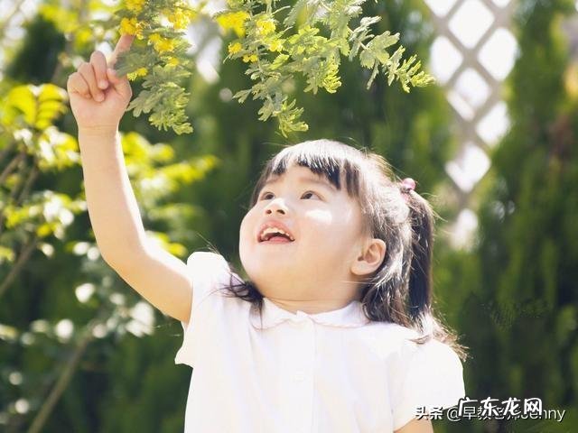 育儿问题千千万你打算怎么学?