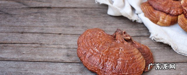 灵芝越老功效越大吗