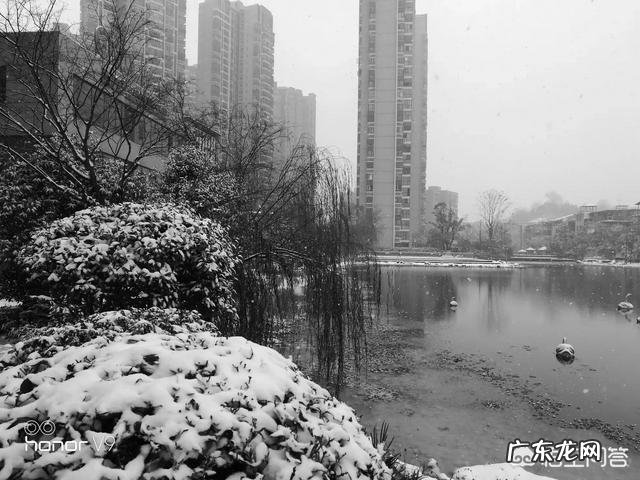 你那里下雪了吗?