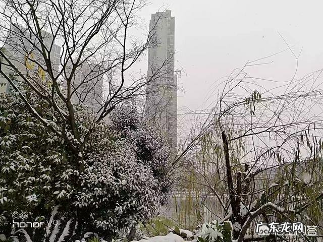 你那里下雪了吗?
