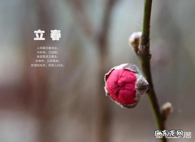 有人说2019年是“寡妇年”,“寡妇年”特别容易遭受“倒春寒”,这是真的吗?