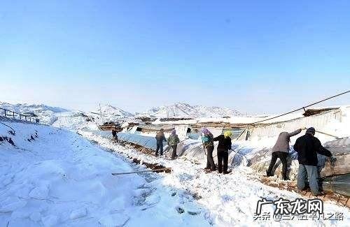 4.21日东北迎来今年最大的一场暴雪,损失惨重,你对这件事怎么看?