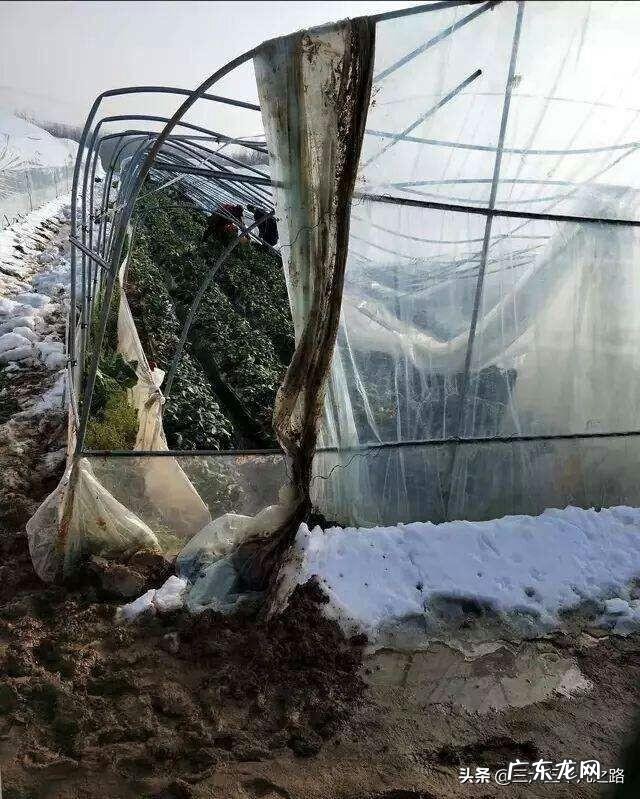 4.21日东北迎来今年最大的一场暴雪,损失惨重,你对这件事怎么看?