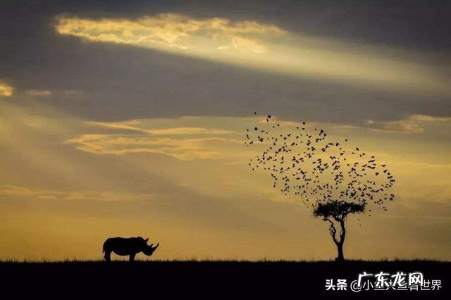 很喜欢摄影,但感觉遇到了瓶颈,想请教各位大佬可能存在什么问题?
