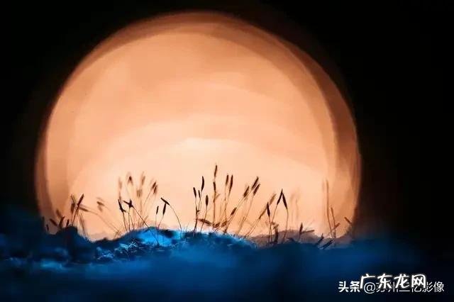 很喜欢摄影,但感觉遇到了瓶颈,想请教各位大佬可能存在什么问题?