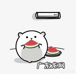 为什么夏天吹空调会容易感冒?