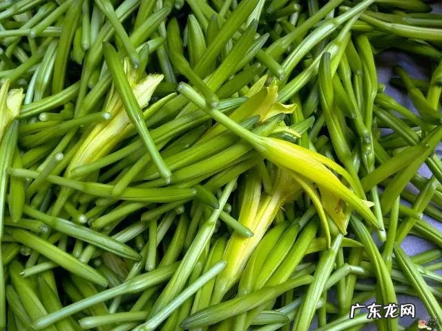 鼠曲草有什么作用 鼠曲草的功效与禁忌是什么