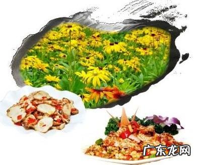 鼠曲草有什么作用 鼠曲草的功效与禁忌是什么