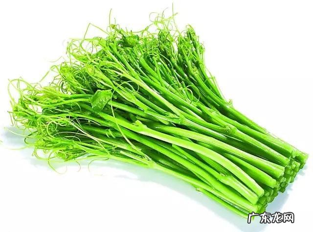 鼠曲草有什么作用 鼠曲草的功效与禁忌是什么