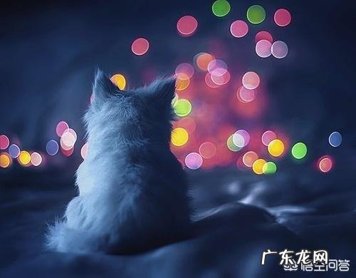 有哪些痛到骨子里的伤感语句呢?