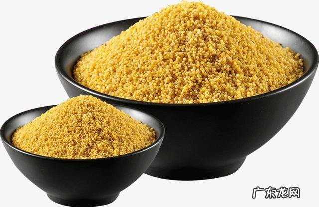 #营养美食季#听说小米营养赛人参,除了熬粥,还有哪些美味做法?