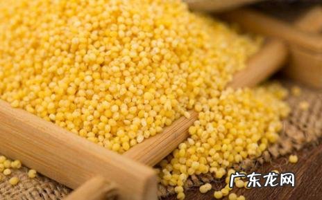 ＃营养美食季＃听说小米营养赛人参，除了熬粥，还有哪些美味做法？