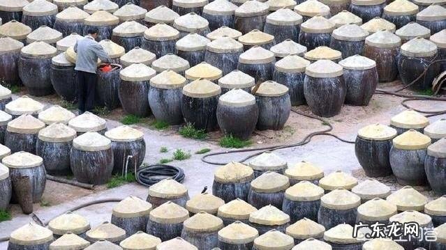 鱼露是哪里常用的调料?用它可以做什么好吃的菜?