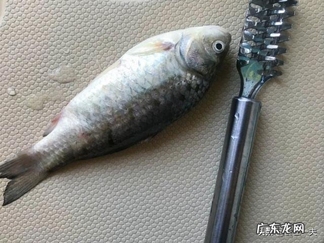 冬天怕冷的人吃什么好?