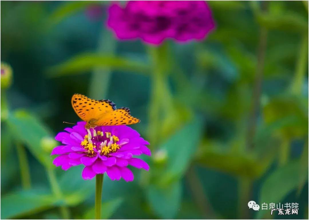 适合9月初的朋友圈