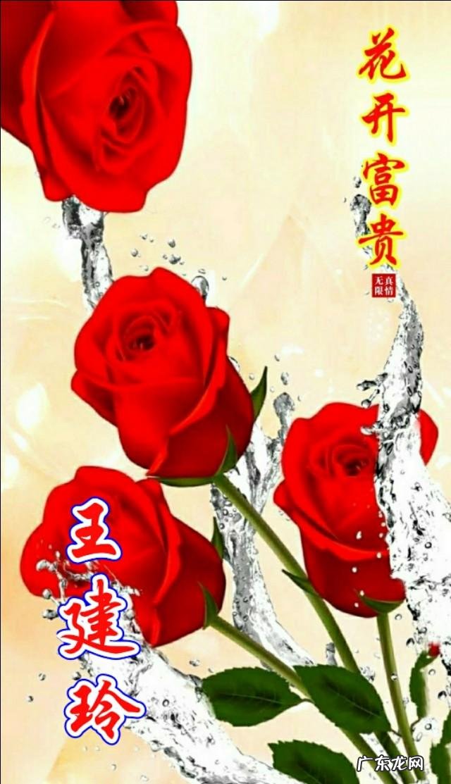 牡丹花黑白图片 黑色背景牡丹壁纸