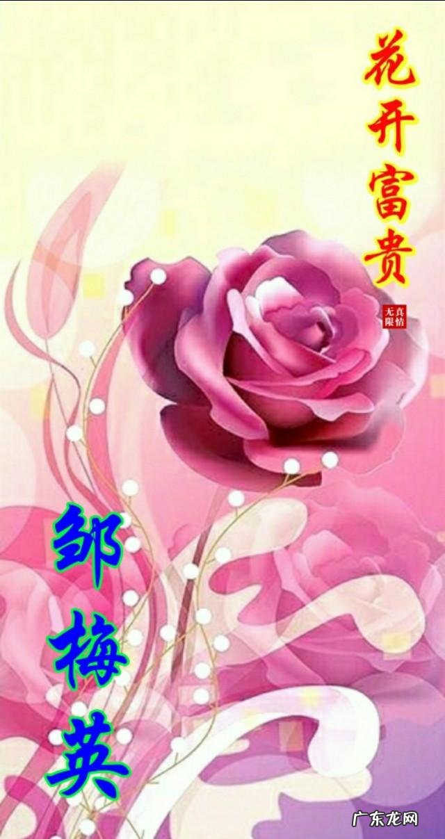 牡丹花黑白图片 黑色背景牡丹壁纸