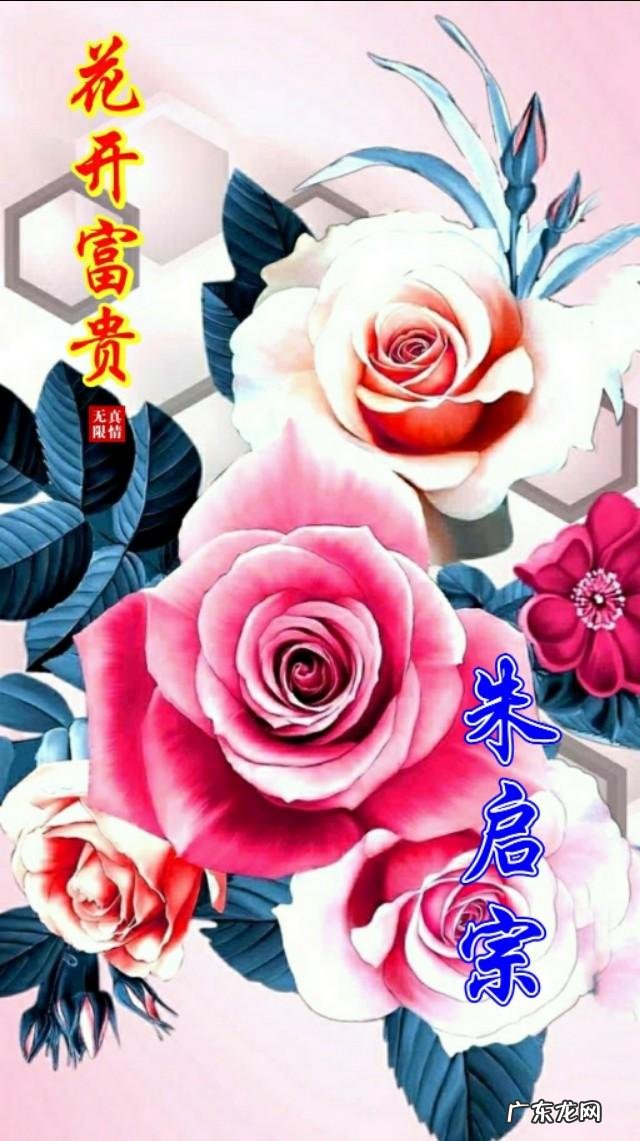 牡丹花黑白图片 黑色背景牡丹壁纸