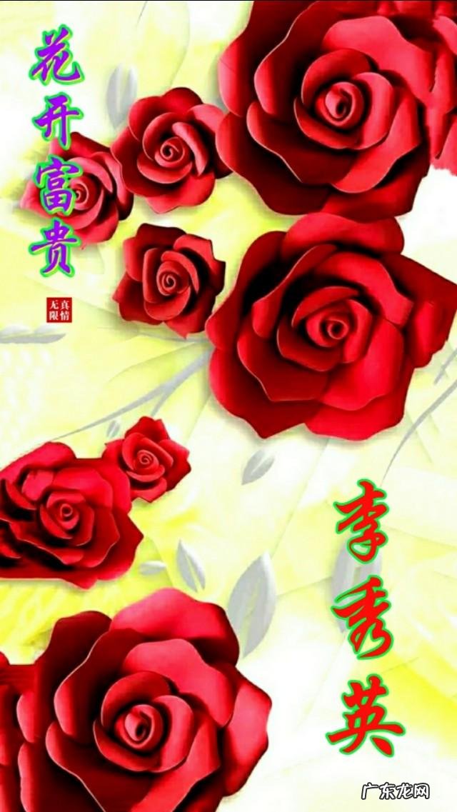 牡丹花黑白图片 黑色背景牡丹壁纸