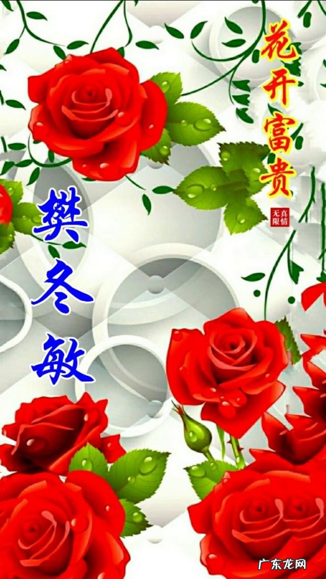 牡丹花黑白图片 黑色背景牡丹壁纸