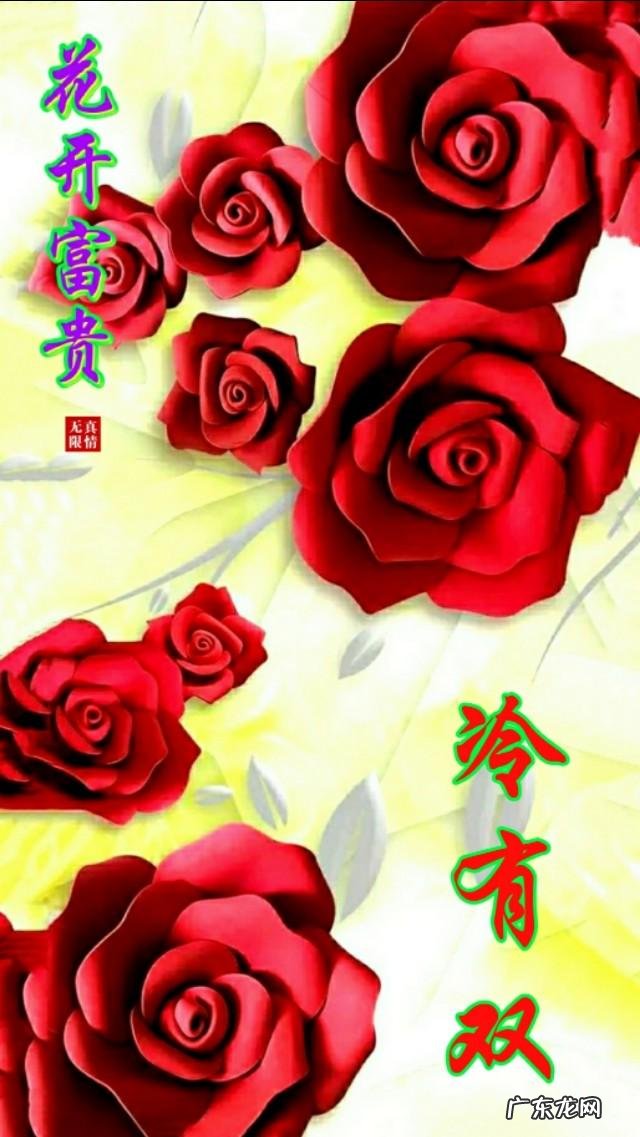 牡丹花黑白图片 黑色背景牡丹壁纸