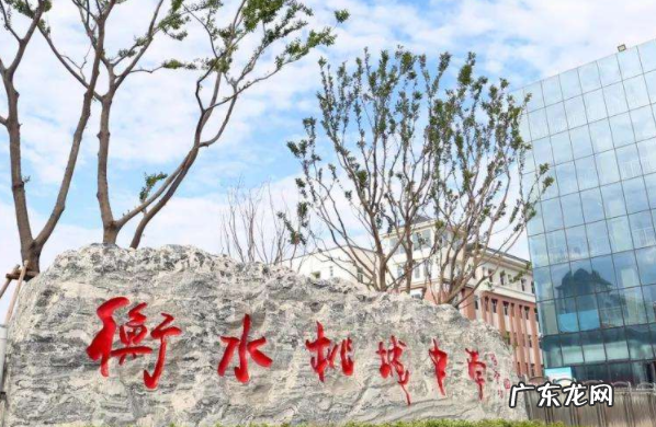 衡水桃城中学2022年学校停止招生 衡水桃城中学事件后续来了