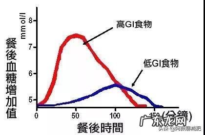 吃玉米饼容易胖吗?
