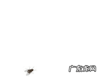 腐烂巨人观 腐败巨人观