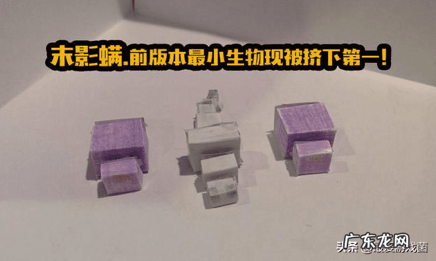 末影螨为什么会消失 末影螨虫