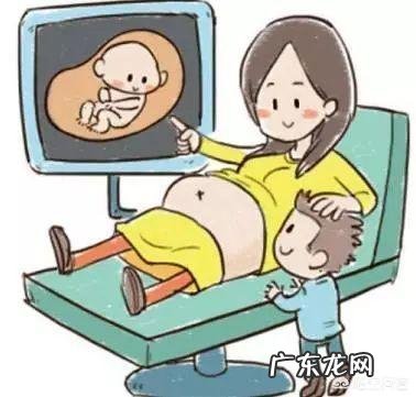 怀孕几个月可以算到了孕中期呢?