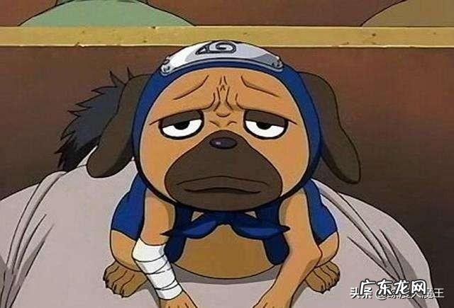 《火影忍者》中旗木卡卡西的通灵兽“八忍犬”一直很神秘，它们有什么特殊能力呐？