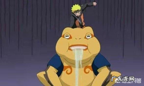 《火影忍者》中旗木卡卡西的通灵兽“八忍犬”一直很神秘，它们有什么特殊能力呐？