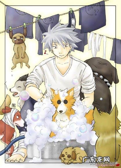 《火影忍者》中旗木卡卡西的通灵兽“八忍犬”一直很神秘，它们有什么特殊能力呐？