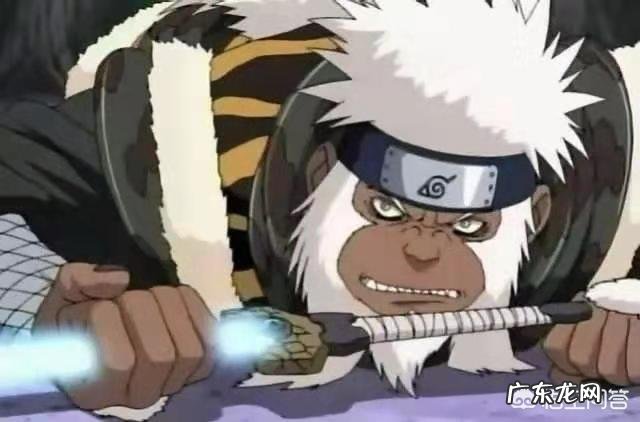 《火影忍者》中旗木卡卡西的通灵兽“八忍犬”一直很神秘,它们有什么特殊能力呐?