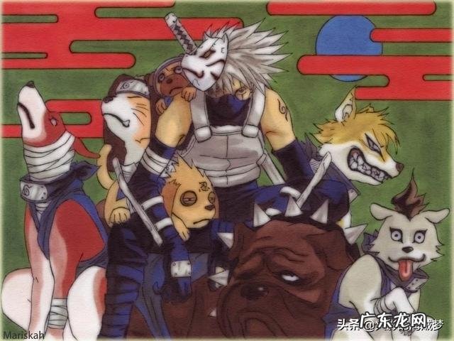《火影忍者》中旗木卡卡西的通灵兽“八忍犬”一直很神秘，它们有什么特殊能力呐？